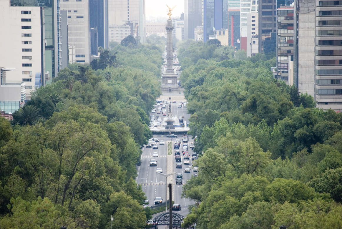 MexicoDF507