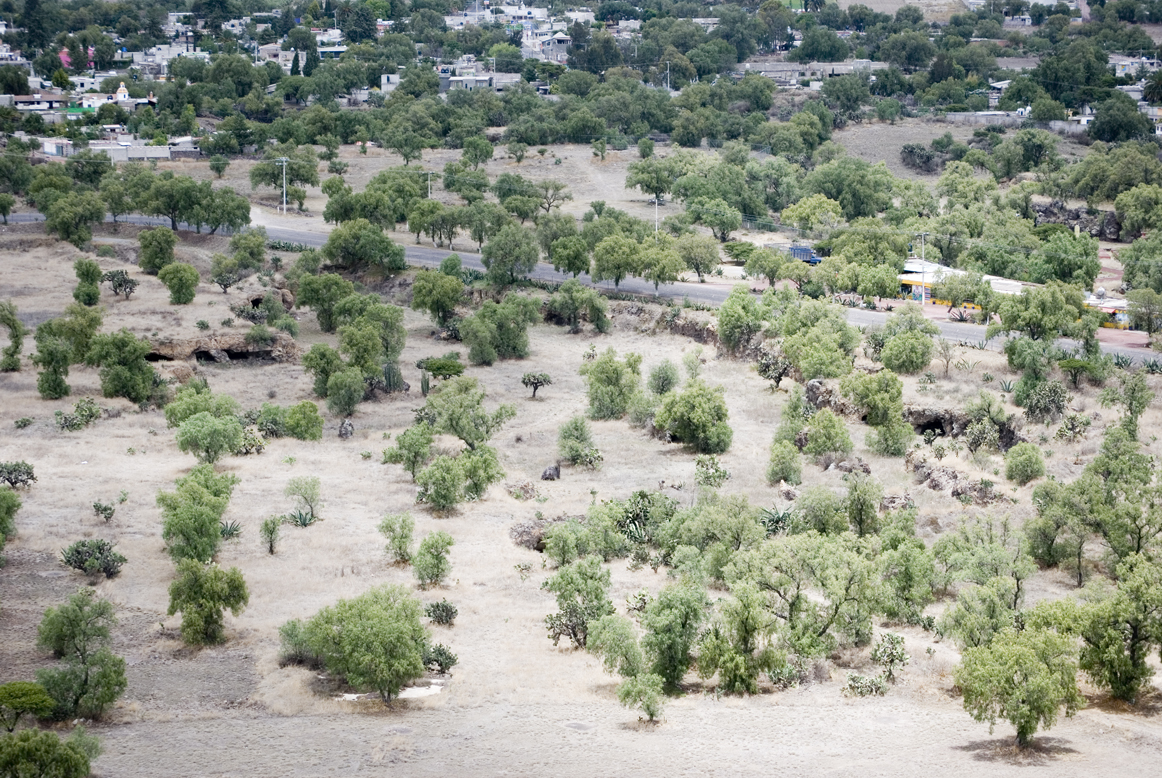 Teotihuacan082